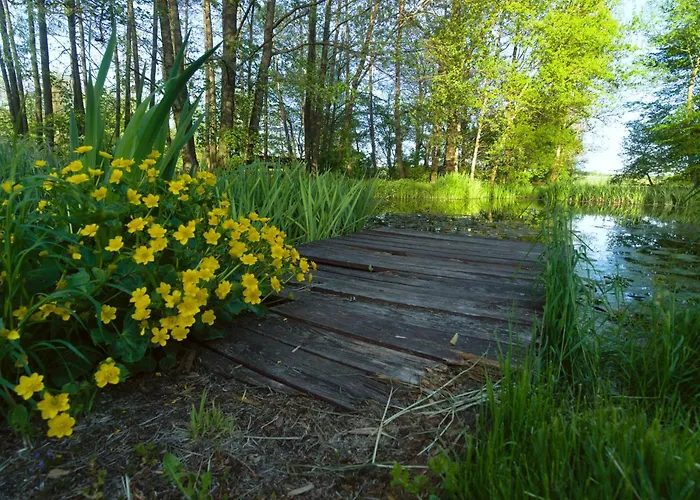 Winnica Avra