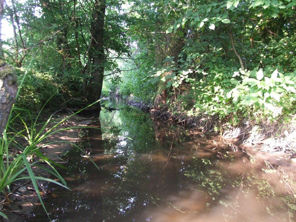 Winnica Avra Szydlow